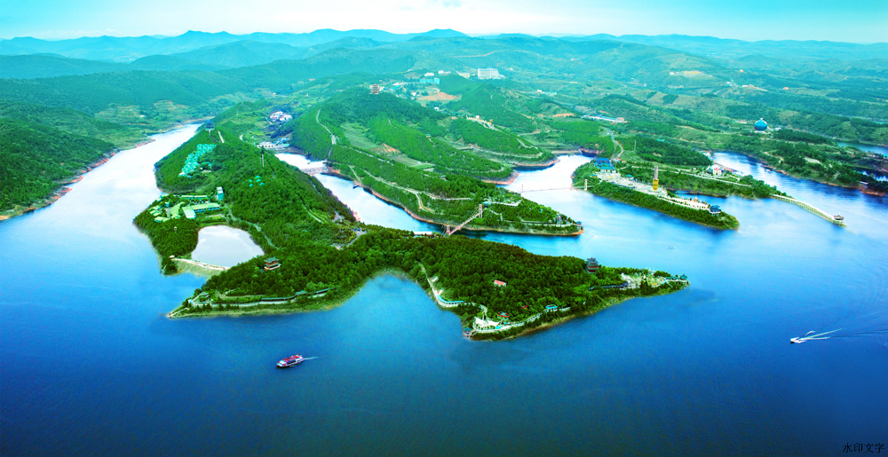 深入實施“雙九戰略”，推動高質量發展